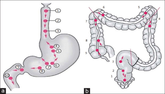 The Saudi Gastroenterology Association guidelines for quality indicators in gastrointestinal endoscopic procedures.