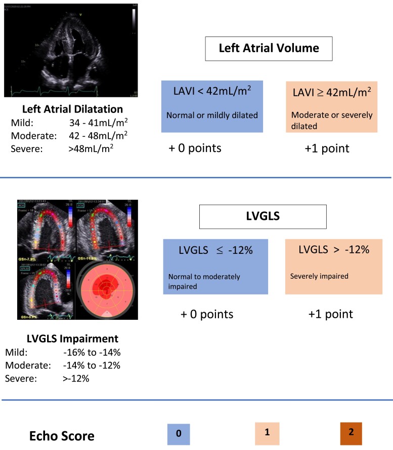 A novel echocardiographic risk score for light-chain amyloidosis.