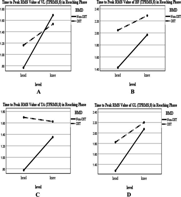 Different muscle strategy during head/knee level of functional reaching-transporting task to decrease falling probability in postmenopausal women with osteoporosis.