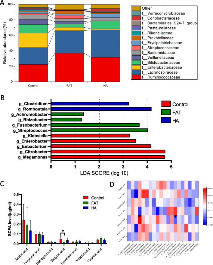 Short-chain fatty acid-butyric acid ameliorates granulosa cells inflammation through regulating METTL3-mediated N6-methyladenosine modification of FOSL2 in polycystic ovarian syndrome.