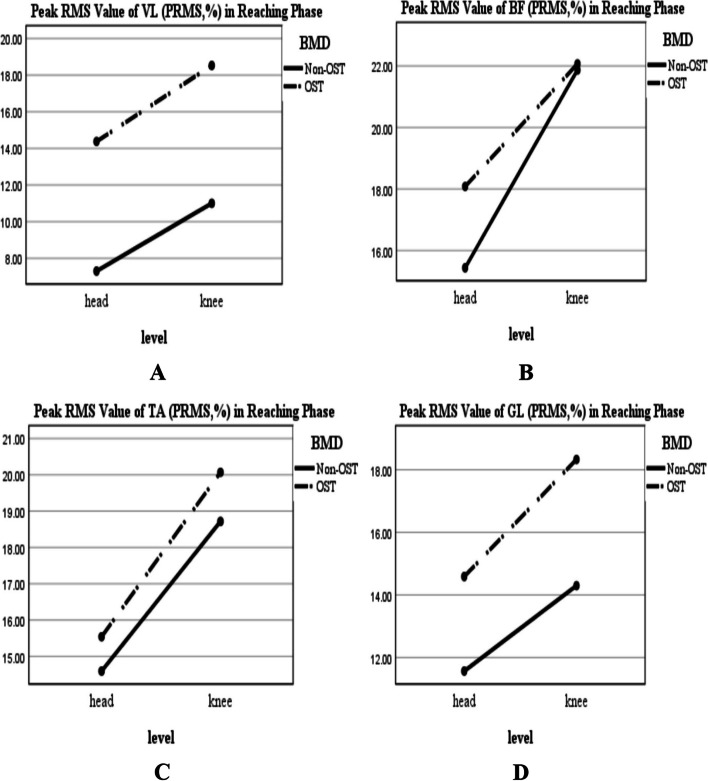 Different muscle strategy during head/knee level of functional reaching-transporting task to decrease falling probability in postmenopausal women with osteoporosis.