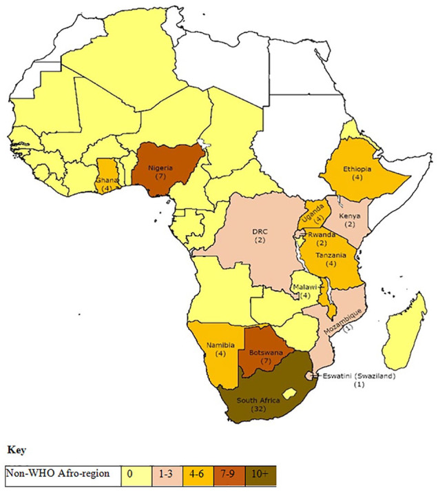 Family-Focused Nursing Research in WHO Afro-Region Member States: A Scoping Review.