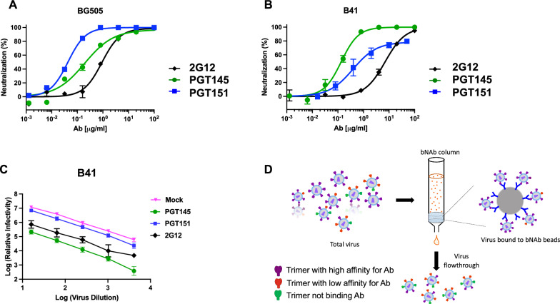 Conformational antigenic heterogeneity as a cause of the persistent fraction in HIV-1 neutralization.