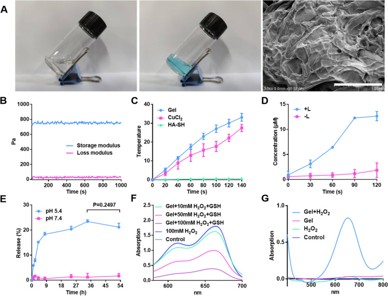 Copper-induced injectable hydrogel with nitric oxide for enhanced immunotherapy by amplifying immunogenic cell death and regulating cancer associated fibroblasts.