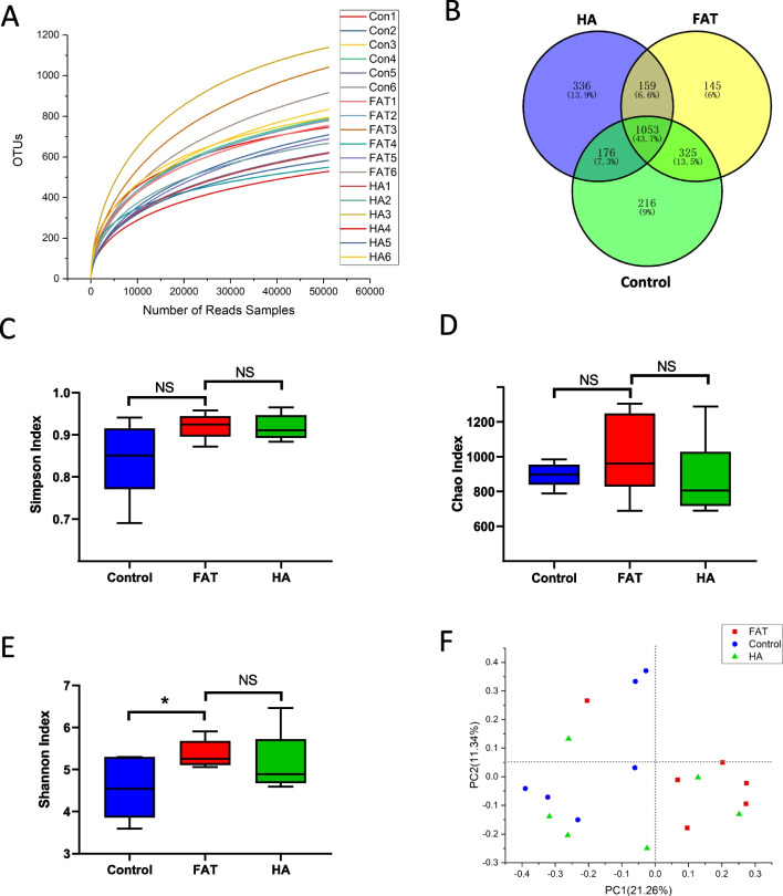 Short-chain fatty acid-butyric acid ameliorates granulosa cells inflammation through regulating METTL3-mediated N6-methyladenosine modification of FOSL2 in polycystic ovarian syndrome.