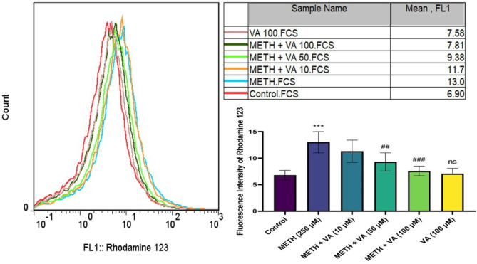 Vanillic acid alleviates methamphetamine-induced mitochondrial toxicity in cardiac mitochondria via antioxidant activity and inhibition of MPT Pore opening: an in-vitro study.