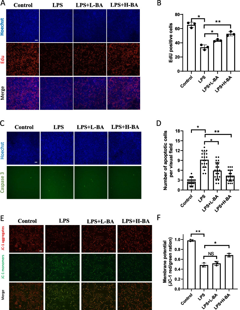 Short-chain fatty acid-butyric acid ameliorates granulosa cells inflammation through regulating METTL3-mediated N6-methyladenosine modification of FOSL2 in polycystic ovarian syndrome.