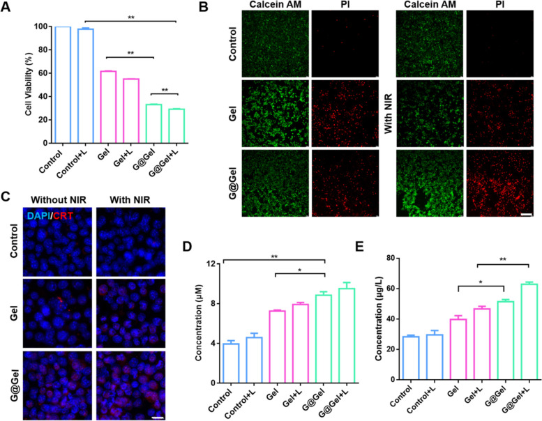 Copper-induced injectable hydrogel with nitric oxide for enhanced immunotherapy by amplifying immunogenic cell death and regulating cancer associated fibroblasts.