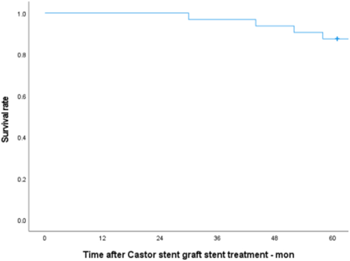 Mid-term outcomes of left subclavian artery revascularization with Castor stent graft in treatment of type B aortic dissection in left subclavian artery