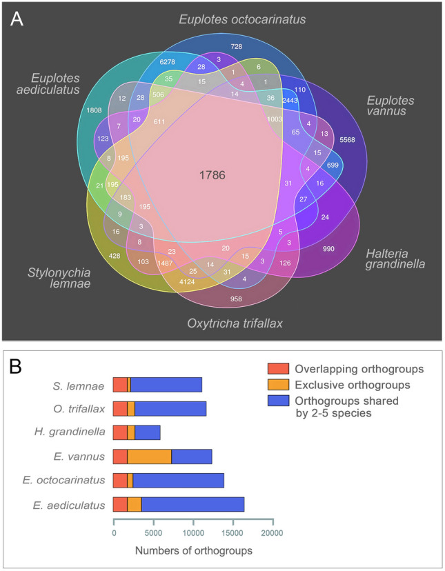 Comparative genome analysis of three euplotid protists provides insights into the evolution of nanochromosomes in unicellular eukaryotic organisms.