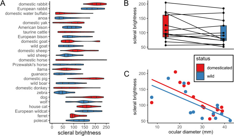 Scleral appearance is not a correlate of domestication in mammals.