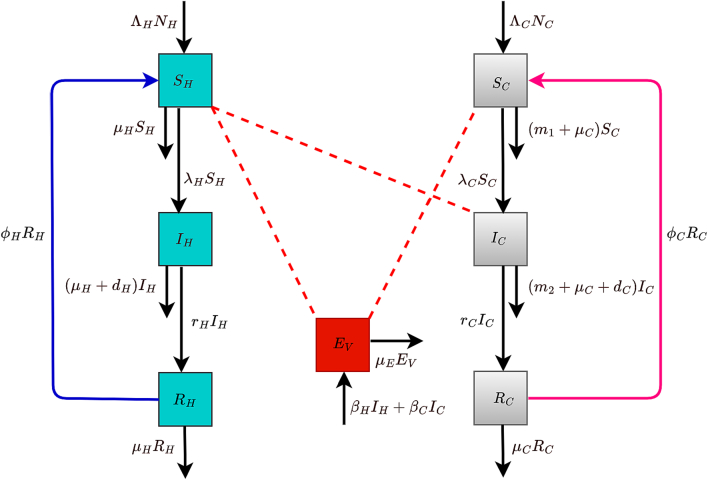 Modeling cryptosporidiosis in humans and cattle: Deterministic and stochastic approaches