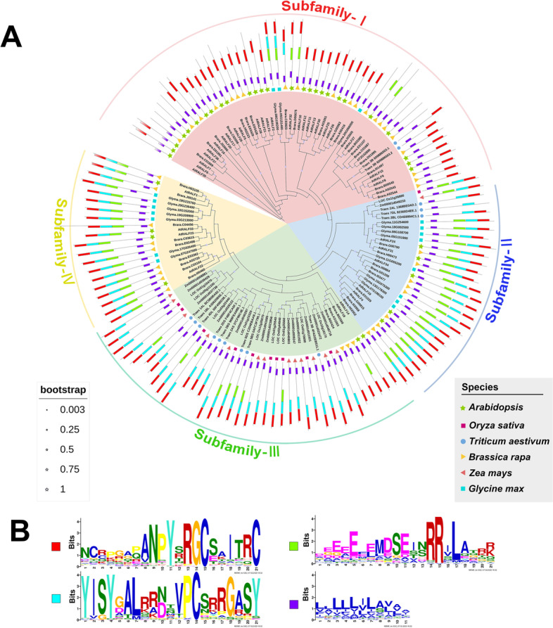 Rapid alkalinization factor: function, regulation, and potential applications in agriculture.