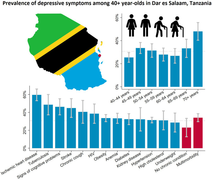 Depressive symptoms and their association with age, chronic conditions and health status among middle-aged and elderly people in peri-urban Tanzania.