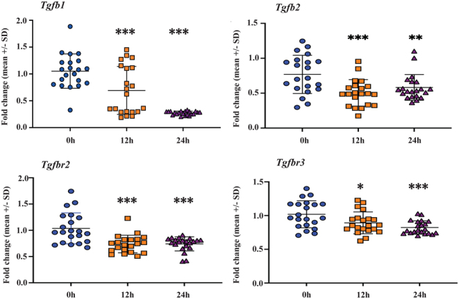 Medium- and time-related effects on hypothermic storage of rat testicular cells.