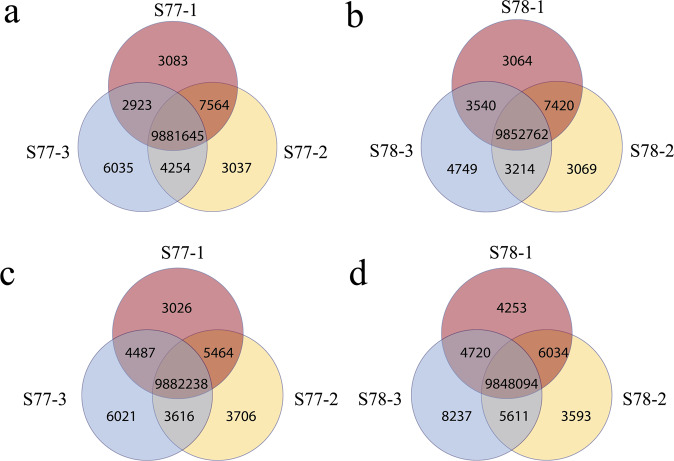 Clinical diagnosis of genetic disorders at both single-nucleotide and chromosomal levels based on BGISEQ-500 platform.