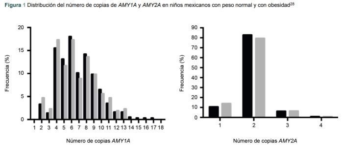 [From genotype to phenotype: amylase gene in childhood obesity].