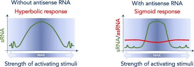 Origin and functional role of antisense transcription in endogenous and exogenous retroviruses.