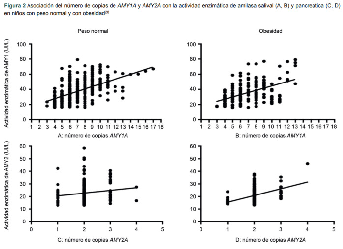 [From genotype to phenotype: amylase gene in childhood obesity].