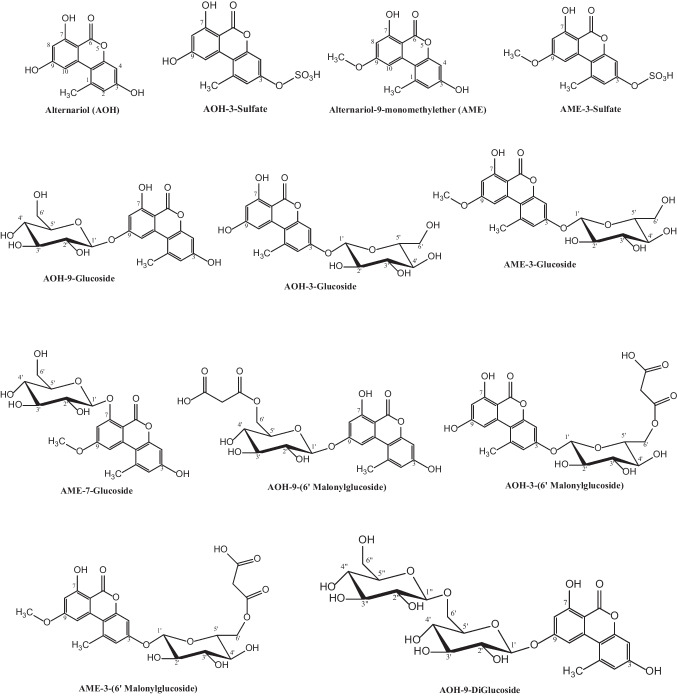 Root uptake and metabolization of Alternaria toxins by winter wheat plants using a hydroponic system.