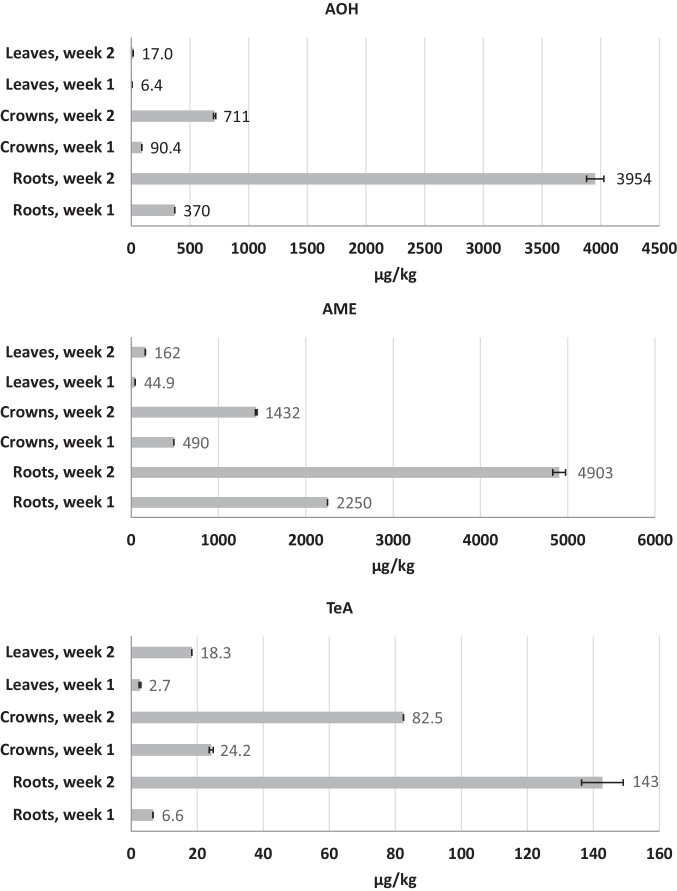 Root uptake and metabolization of Alternaria toxins by winter wheat plants using a hydroponic system.