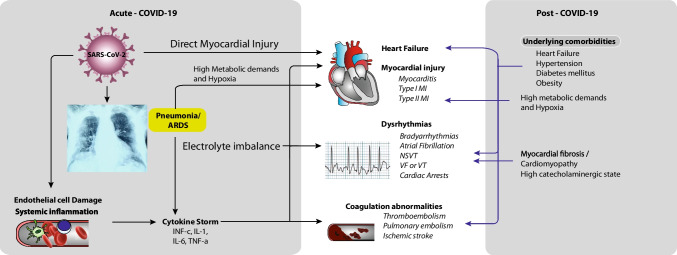 Acute and Post-Acute COVID-19 Cardiovascular Complications: A Comprehensive Review.