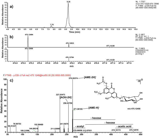 Root uptake and metabolization of Alternaria toxins by winter wheat plants using a hydroponic system.