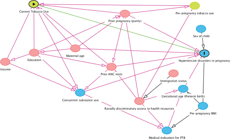 Addressing the smoking-hypertension paradox in pregnancy: insight from a multiethnic US birth cohort.