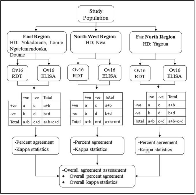 Concordance between Ov16 rapid diagnostic test(RDT) and Ov16 enzyme-linked immunosorbent assay (ELISA) for the diagnosis of onchocerciasis in areas of contrasting endemicity in cameroon