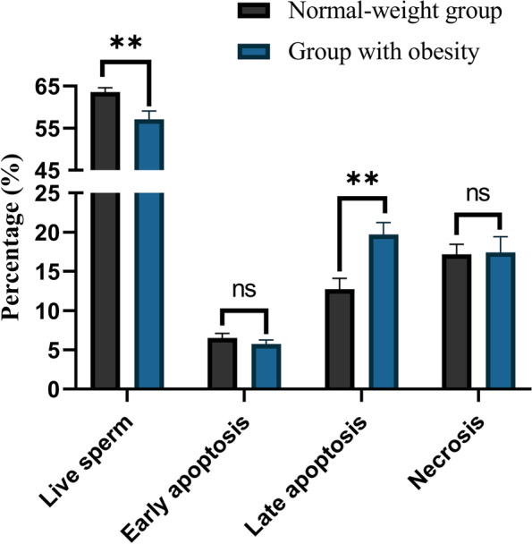 Male obesity is associated with sperm telomere shortening and aberrant mRNA expression of autophagy-related genes.