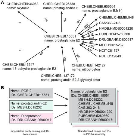 Automated assembly of molecular mechanisms at scale from text mining and curated databases.