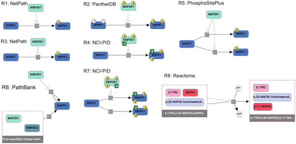 Automated assembly of molecular mechanisms at scale from text mining and curated databases.