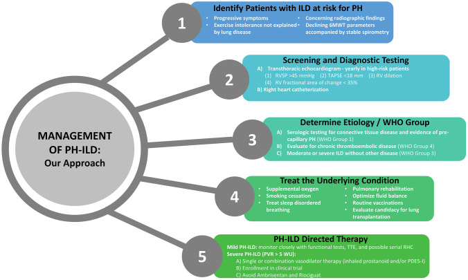 Pulmonary Hypertension in Interstitial Lung Disease: Management Options to Move Beyond Supportive Care.