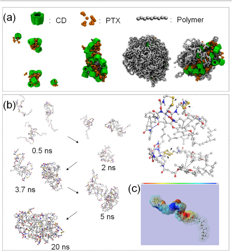 Application of molecular dynamics simulation in self-assembled cancer nanomedicine.