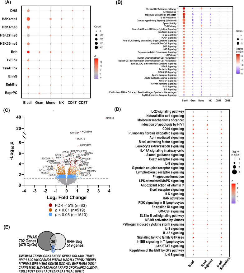 Epigenomic profiling of isolated blood cell types reveals highly specific B cell smoking signatures and links to disease risk.