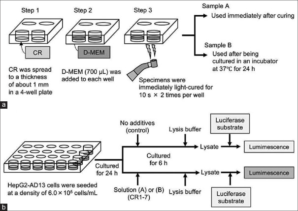 Intracellular stress caused by composite resins: An <i>in vitro</i> study using a bioluminescent antioxidant-responsive element reporter assay.