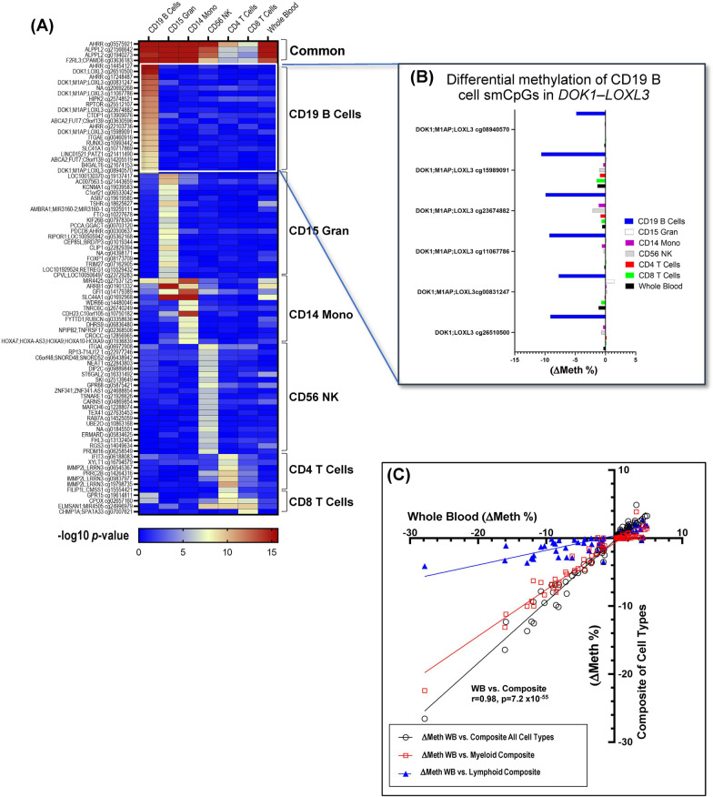 Epigenomic profiling of isolated blood cell types reveals highly specific B cell smoking signatures and links to disease risk.