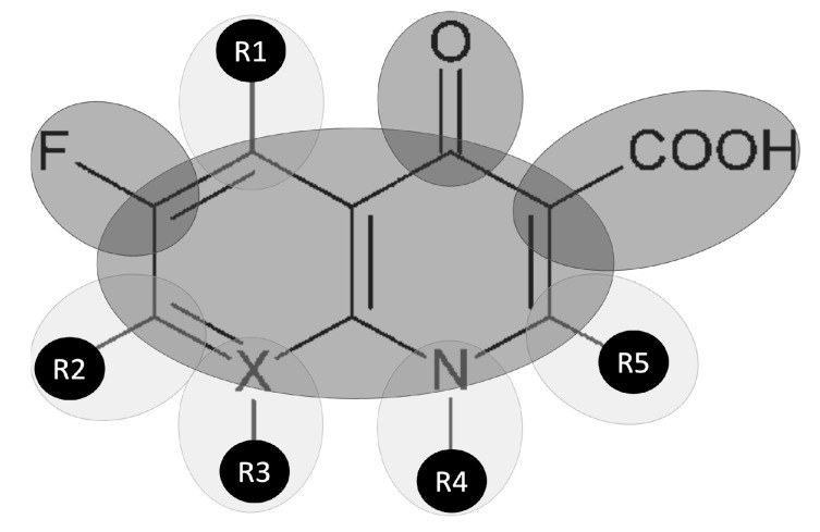 Fluoroquinolone-Associated Movement Disorder: A Literature Review.