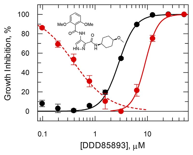 The critical role of mode of action studies in kinetoplastid drug discovery.