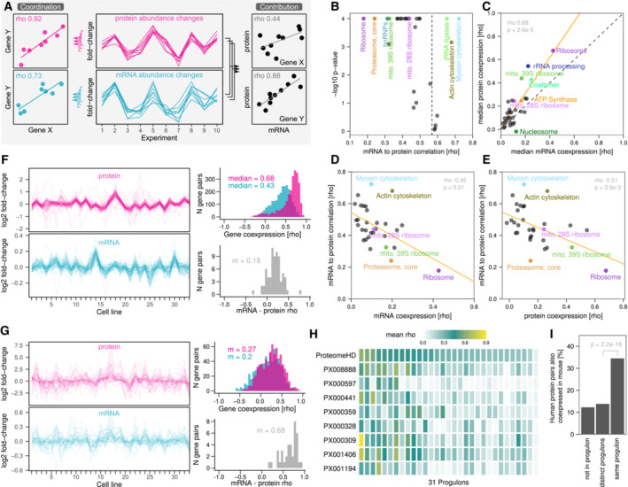 Higher-order modular regulation of the human proteome.