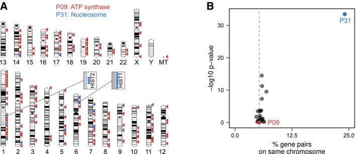 Higher-order modular regulation of the human proteome.