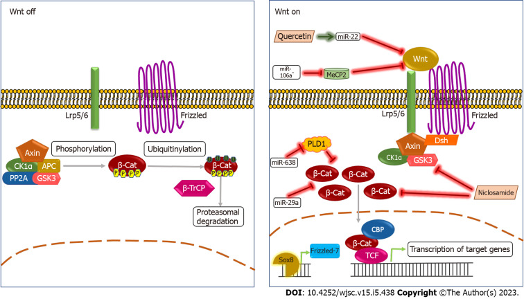 Molecular signaling in cancer stem cells of tongue squamous cell carcinoma: Therapeutic implications and challenges.