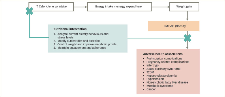 Is Type 2 Diabetes Mellitus a Behavioural Disorder? An Evidence Review for Type 2 Diabetes Mellitus Prevention and Remission through Lifestyle Modification.