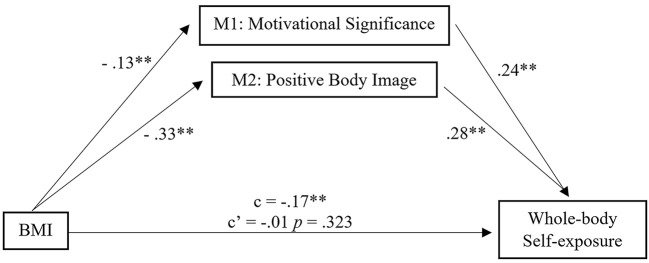 Self-Exposure on Instagram and BMI: Relations With Body Image Among Both Genders.