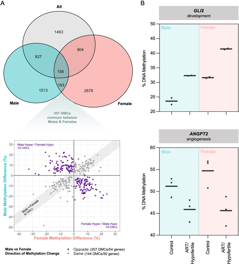 Capturing sex-specific and hypofertility-linked effects of assisted reproductive technologies on the cord blood DNA methylome.