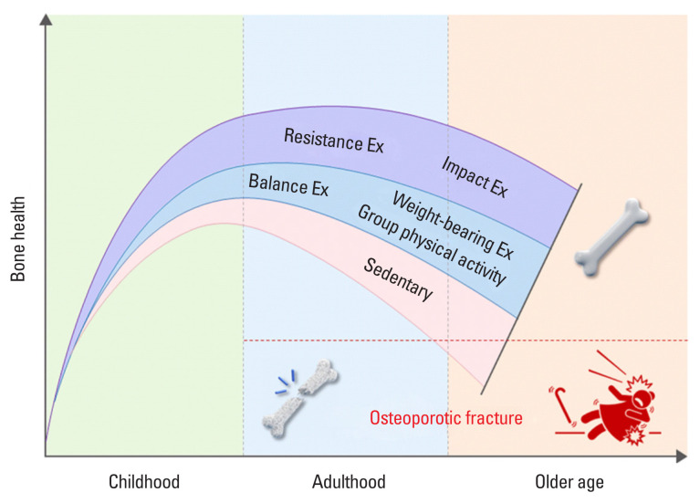 Position Statement: Exercise Guidelines for Osteoporosis Management and Fall Prevention in Osteoporosis Patients.