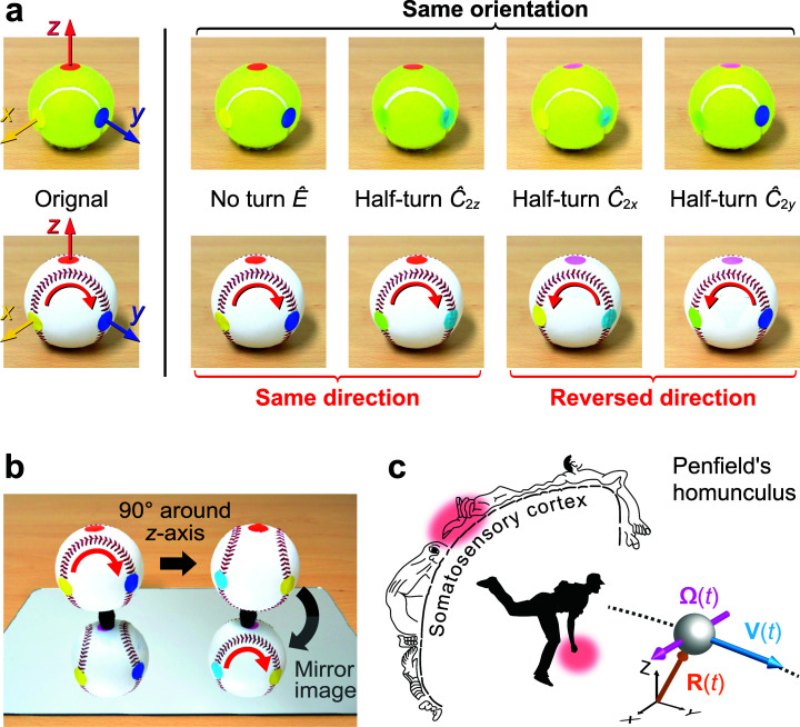 A new category of "Aha!" driven by touch: A grip sensation into the directional seam on a baseball.