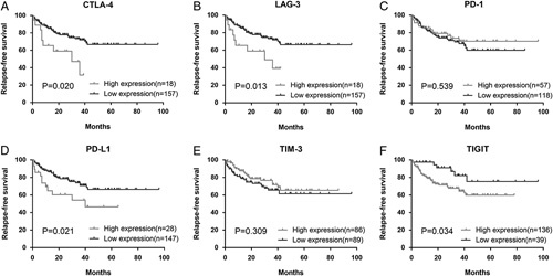 Immune Co-inhibitory Receptors CTLA-4, PD-1, TIGIT, LAG-3, and TIM-3 in Upper Tract Urothelial Carcinomas: A Large Cohort Study.