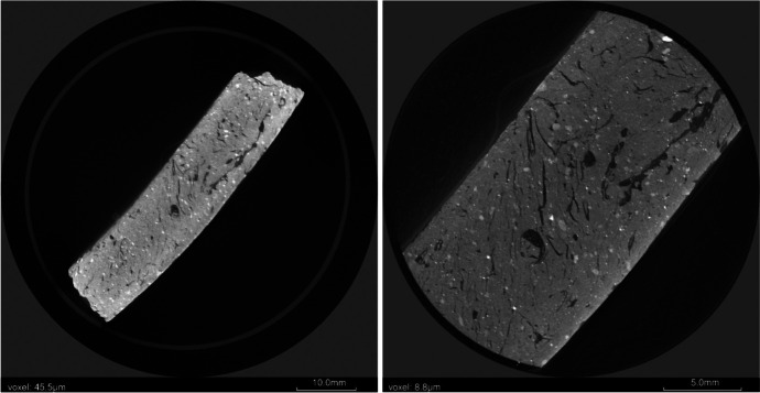 Applications of Microct Imaging to Archaeobotanical Research.