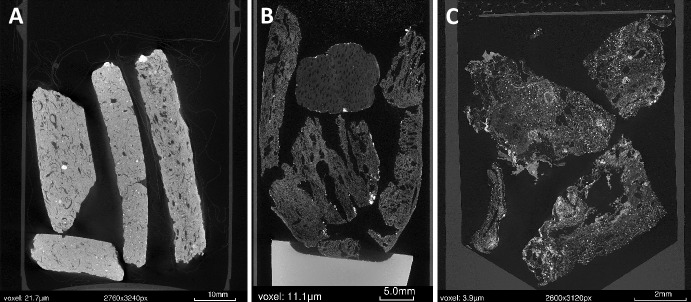 Applications of Microct Imaging to Archaeobotanical Research.